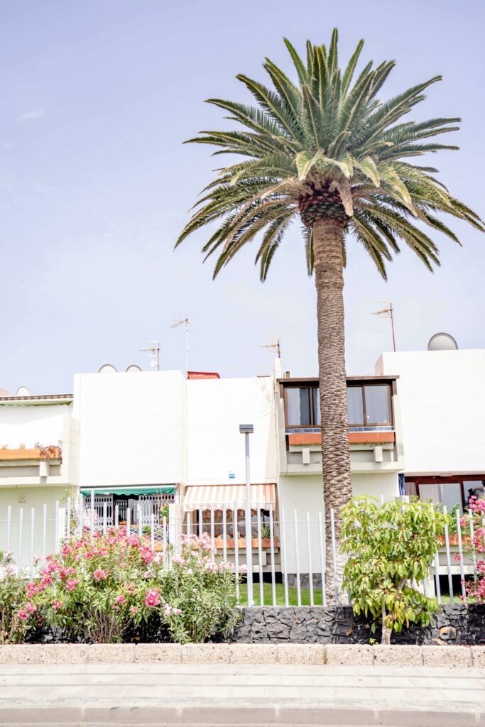 pared exterior de una casa en las Islas Canarias